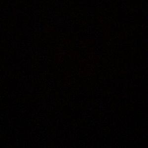 Meet your Posher, Larry